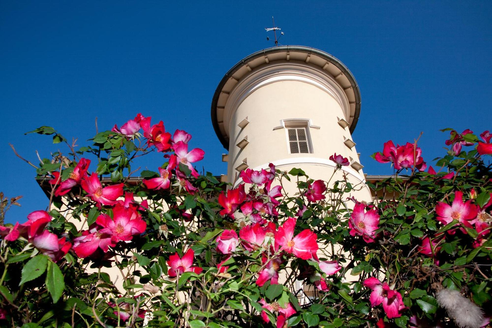 Chateau De Bellevue B&B Villié-Morgon Eksteriør bilde